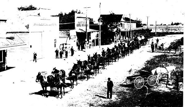 Main Street, Byron, circa 1910